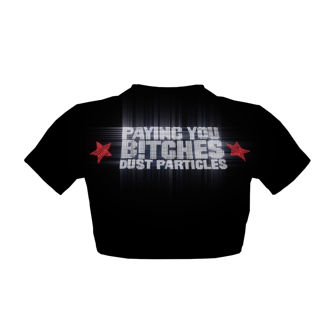 Paying You Dust crop top