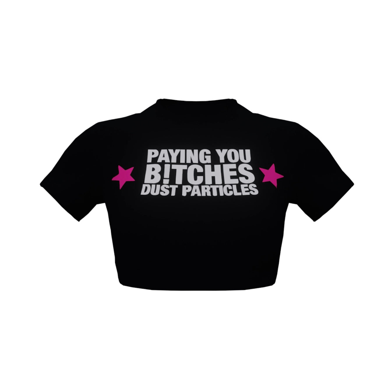 Paying You Dust crop top